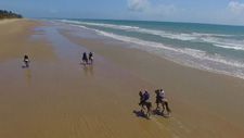 Brazil-Alagoas-The Coconut Trail Ride